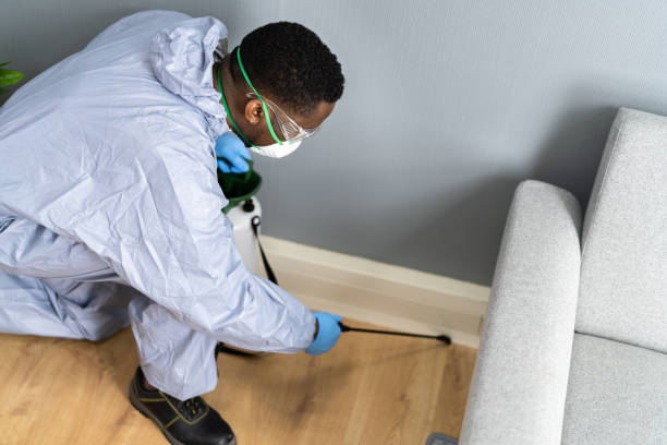 Trusted Stony Brook University, NY Pest control Experts